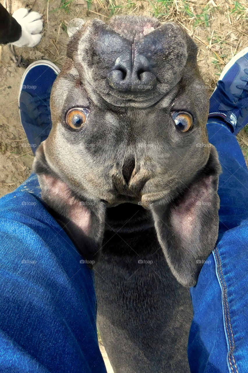 Take the World around