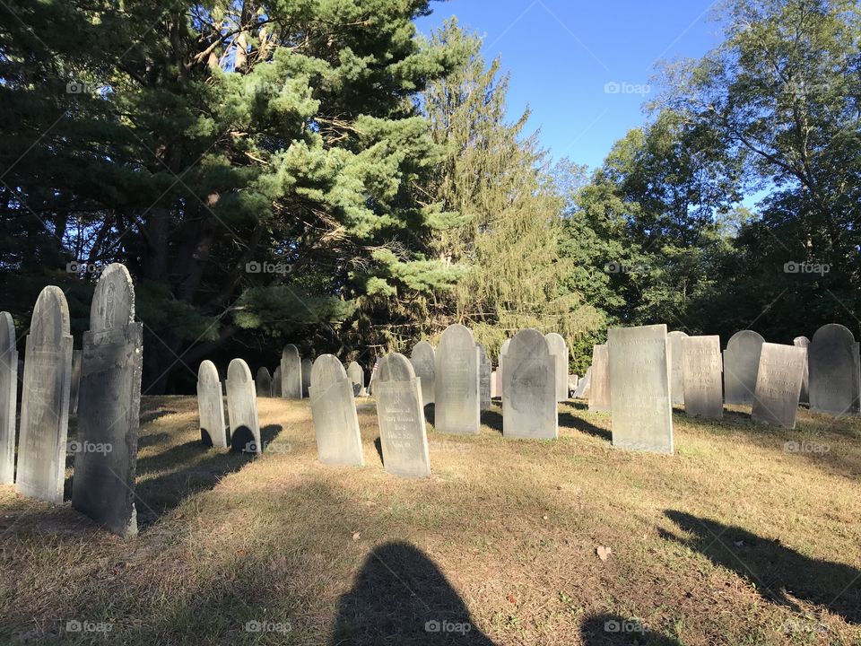 Gravestones 