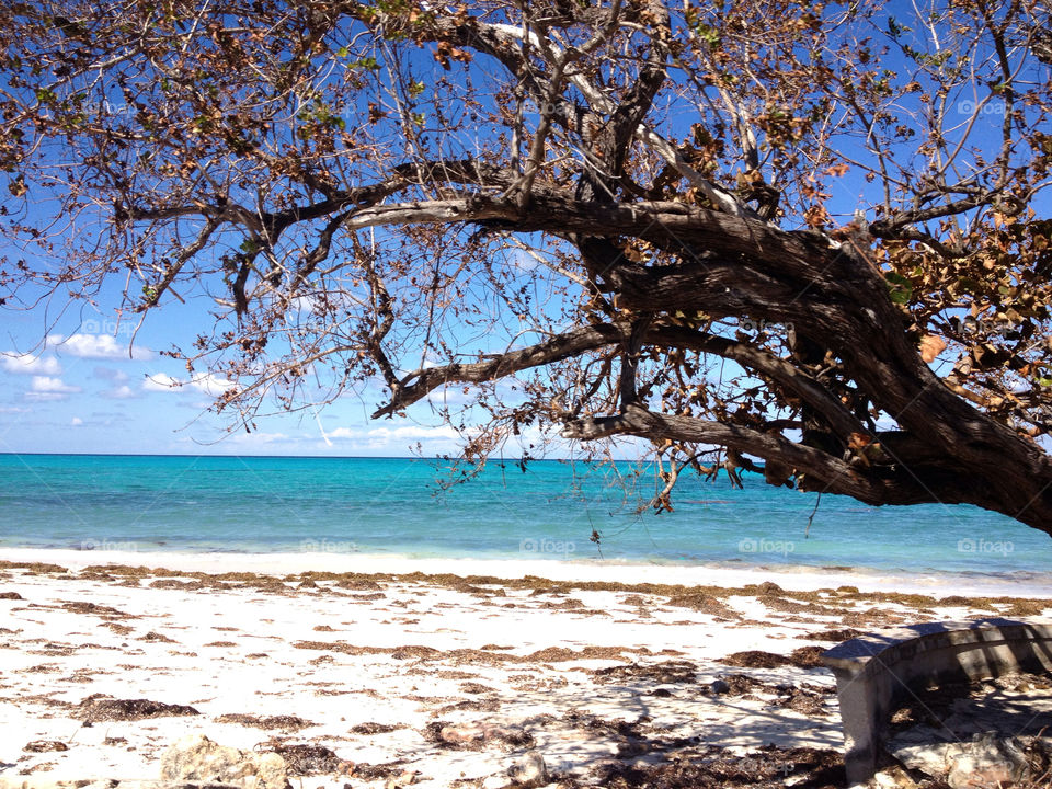 Beach After Hurricane