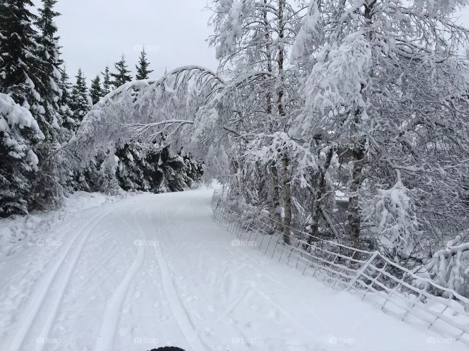 Winter