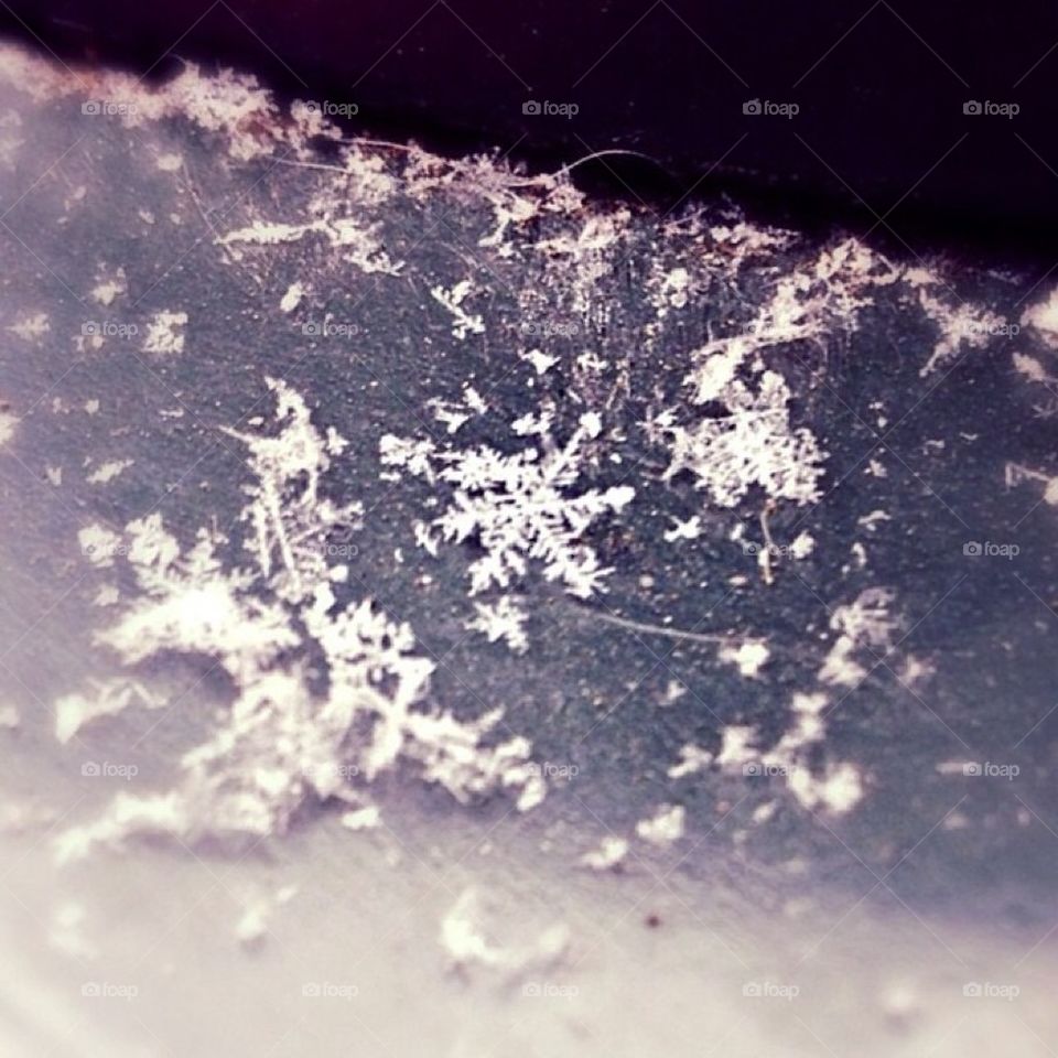 Snow flakes 