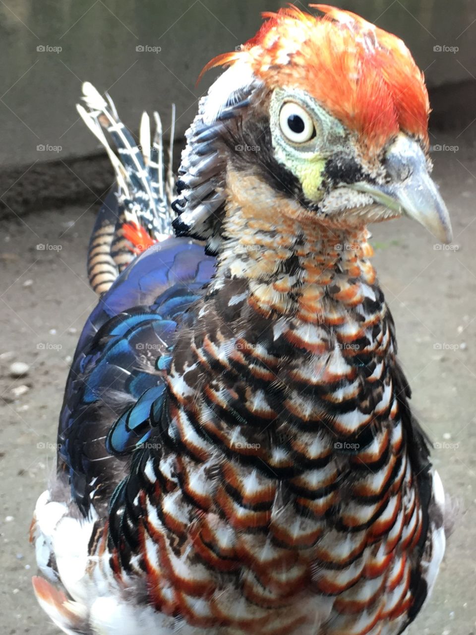 This is my better side.