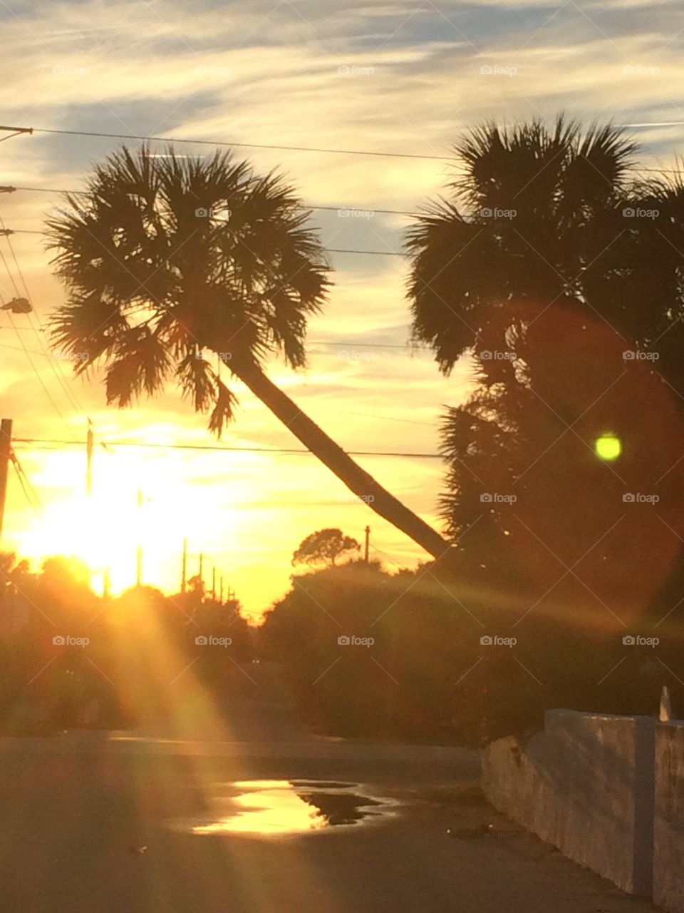 Tropical sunset. Taken walking back from Daytona Beach during golden hour. 