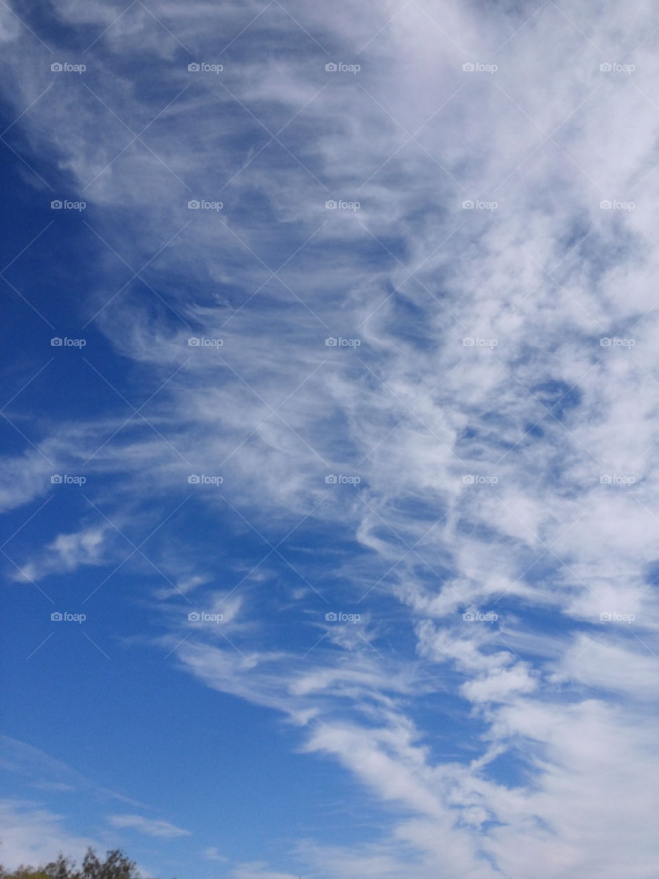 (windy) Morning Texas Clouds