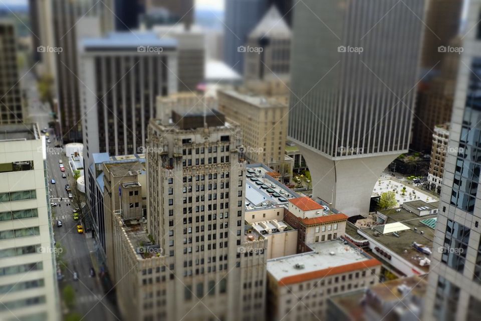 Seattle Miniature