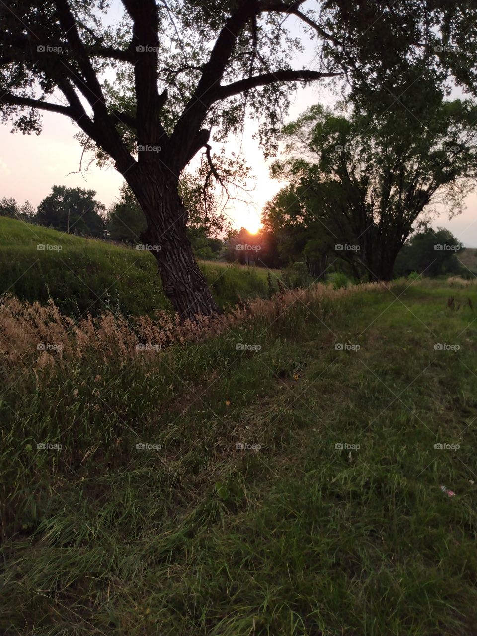 Serene sunset on the canal in Arvada, Colorado.