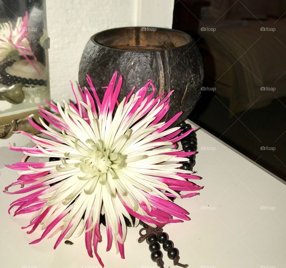 Fresh cut pink and white flower near a coconut candle and mandala beads 