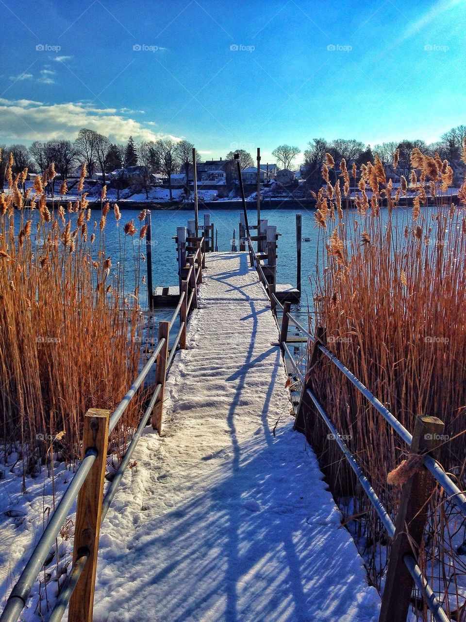 Winter harbour...