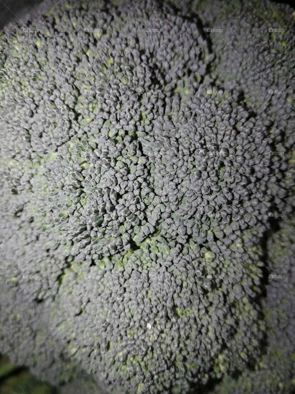 Texture (broccoli)