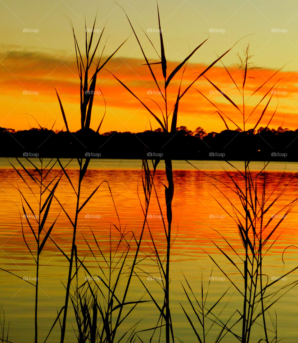 Sunset over lake