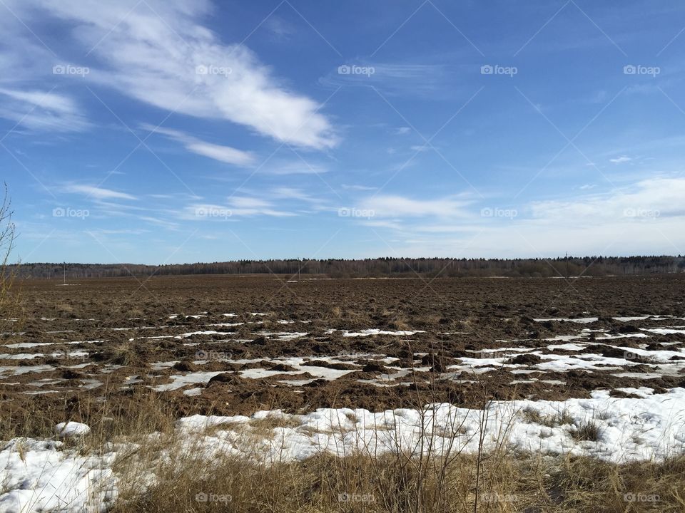 Scenic view of landscape in winter
