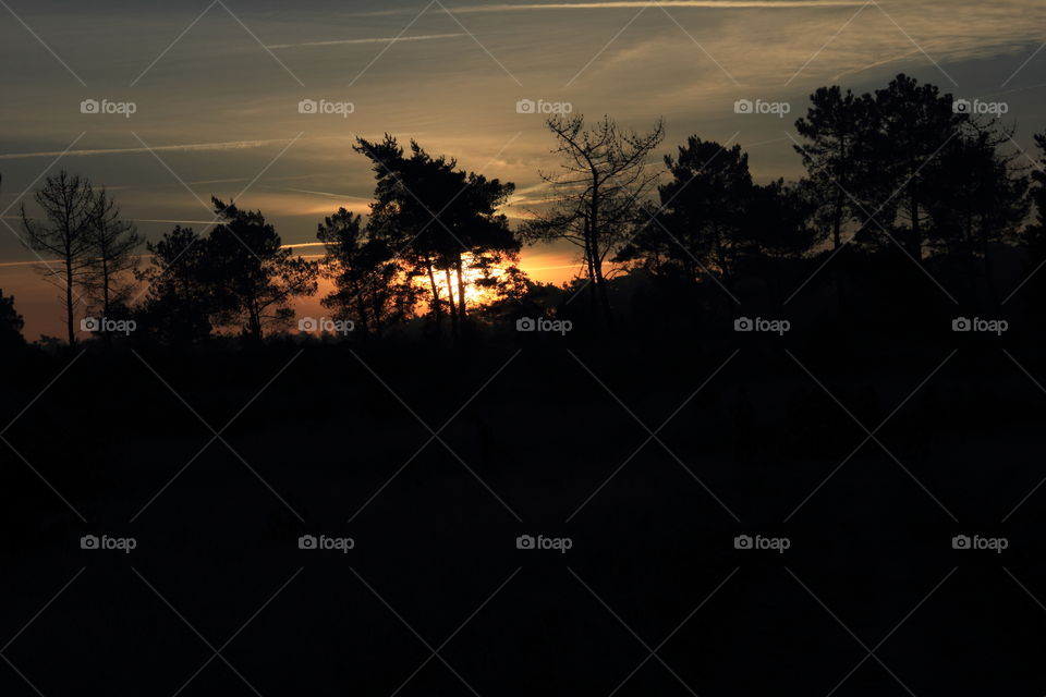 sunrise in belgium. sunrise at Kalmthoutse heide in belgium