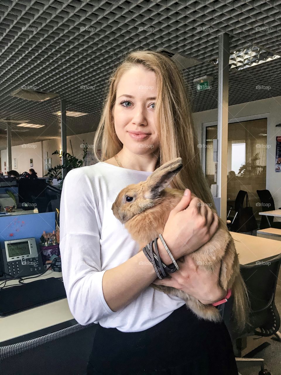 Girl hugging fluffy rabbit in office 