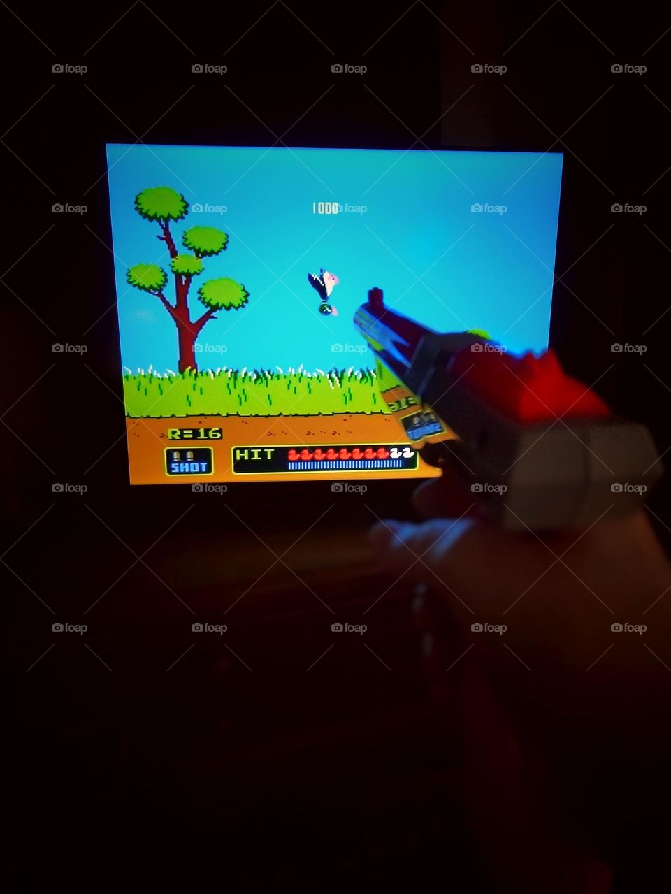 Duck Hunt