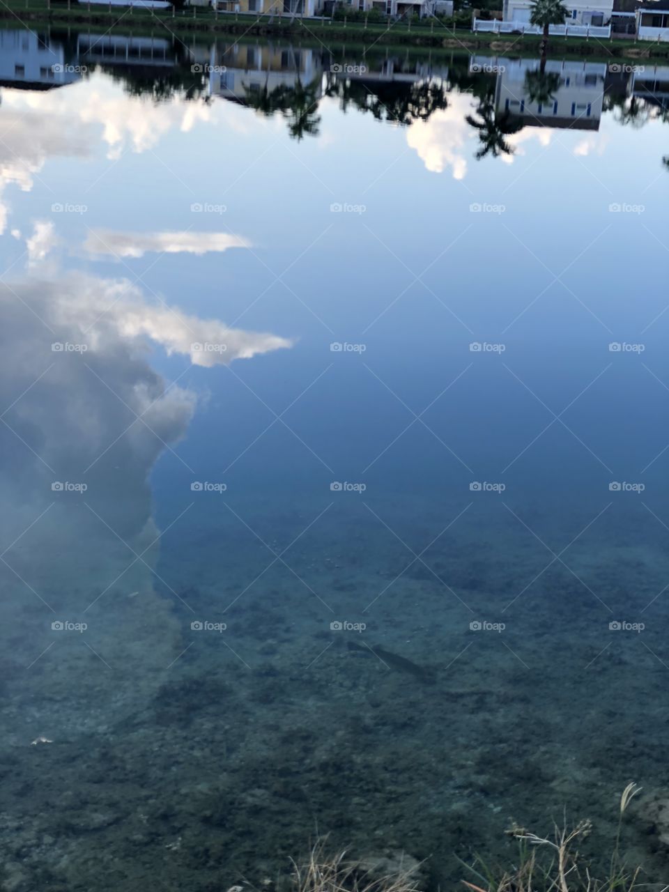 Clouds in the water - or is it water in the skies?