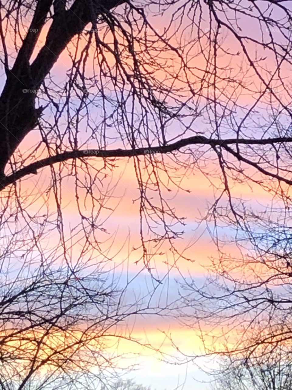 A winter days sunset