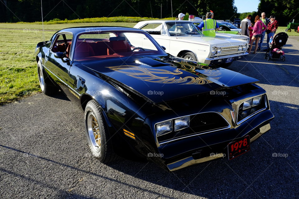 1978 Firebird 