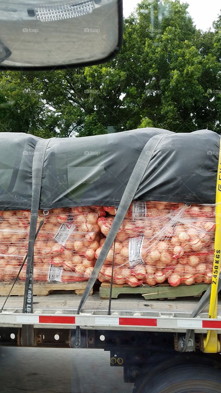 load of onions