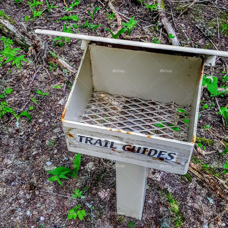 Empty trail guide box in the forest
