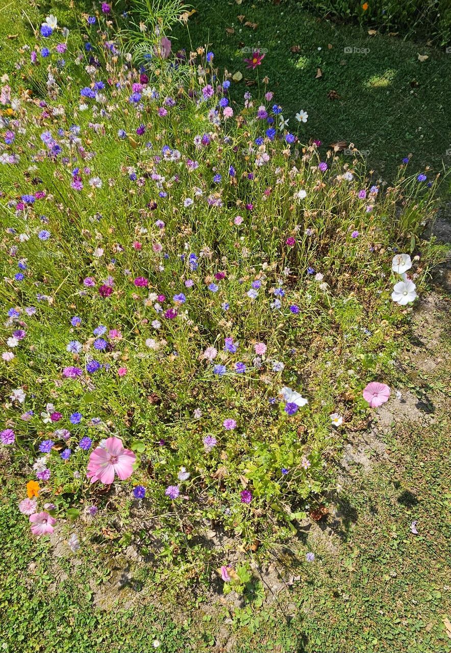 jardin de la ferme saint simeon