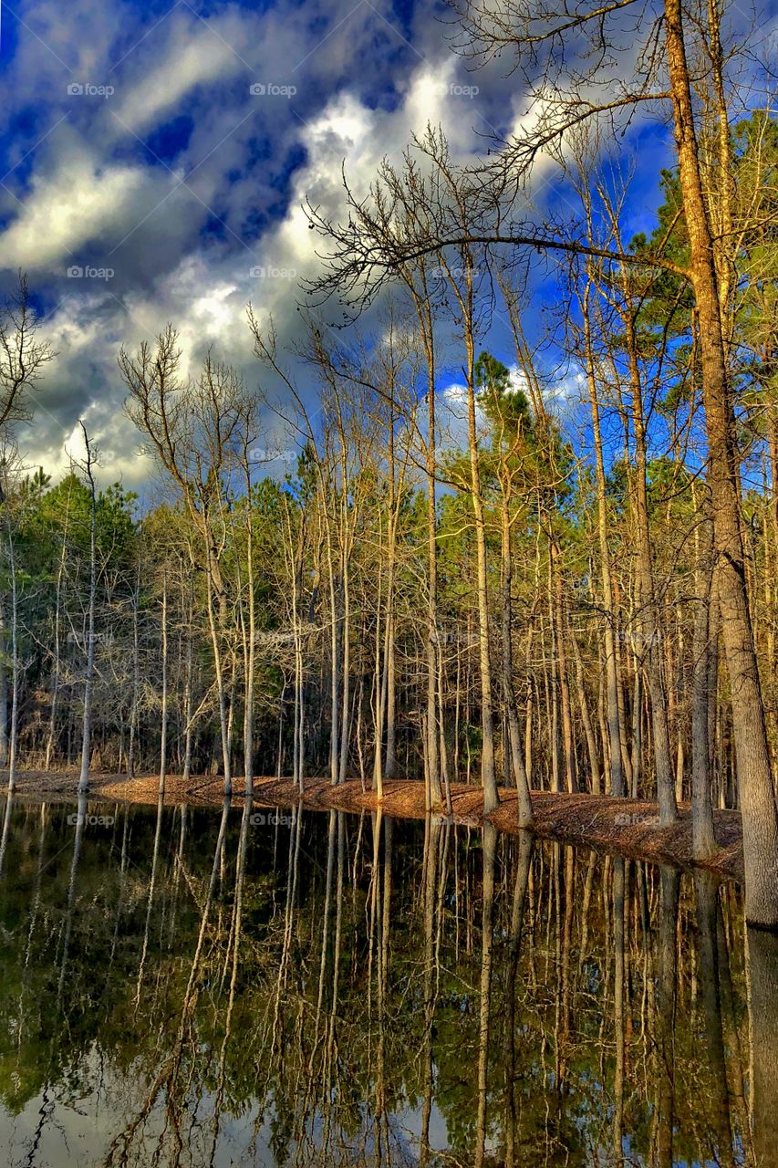 Reflections At Sunset 