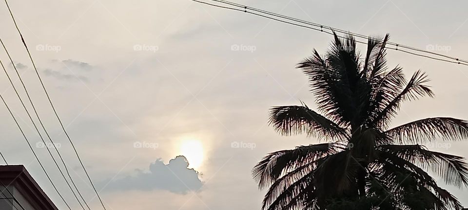 Sunset ! very beautiful sunset photo with clouds and trees.