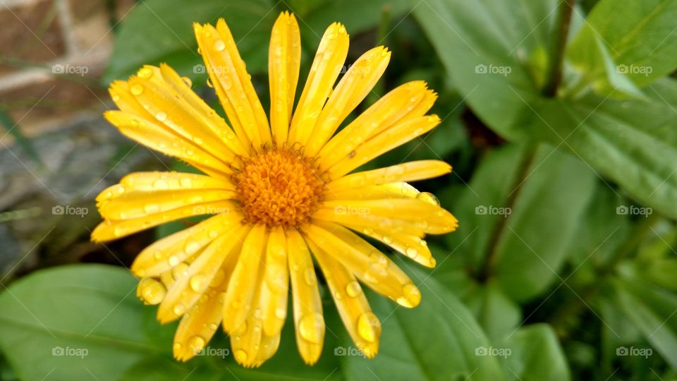 The Beauty Which Surrounds Us