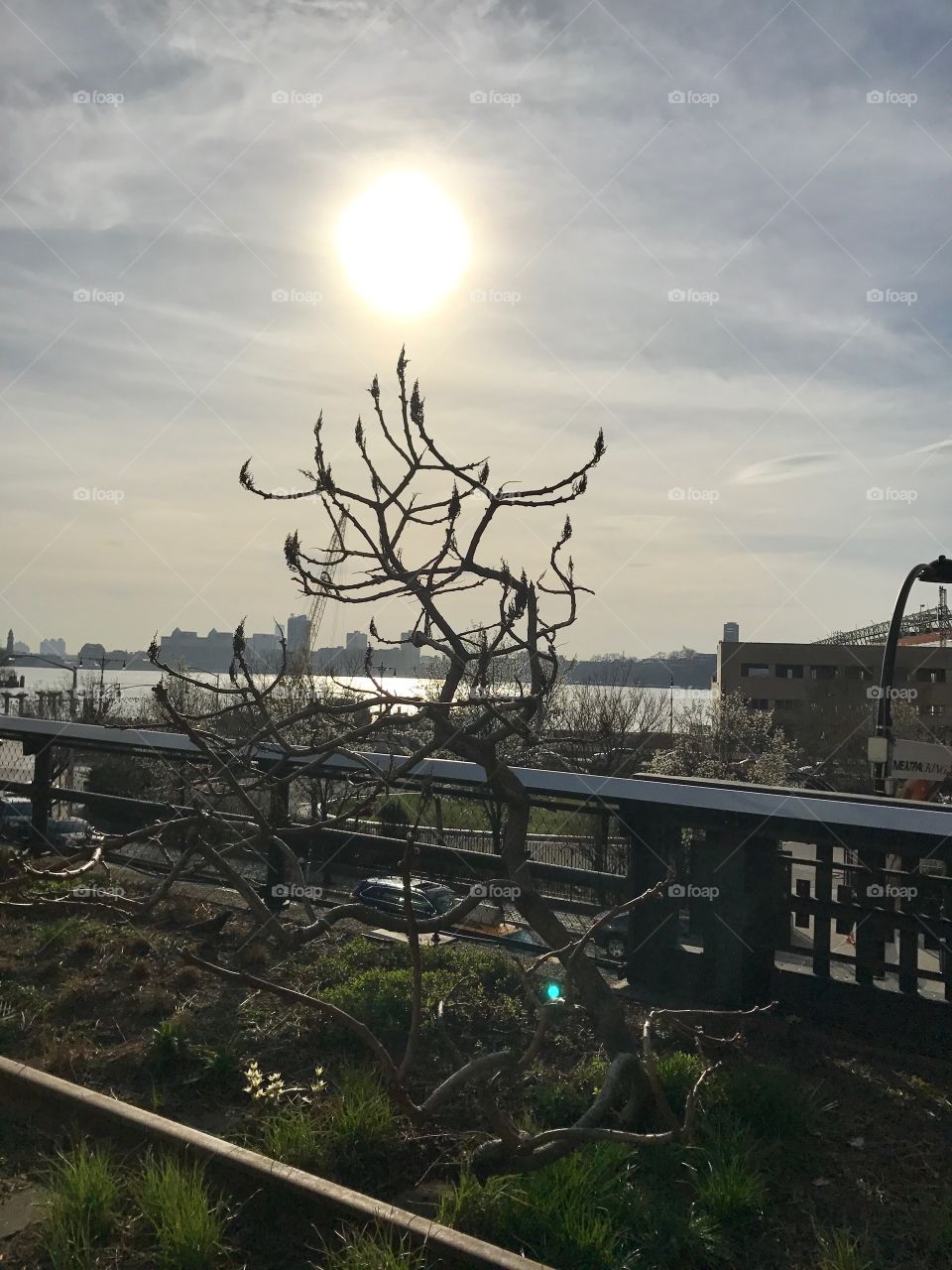 High Line, NYC