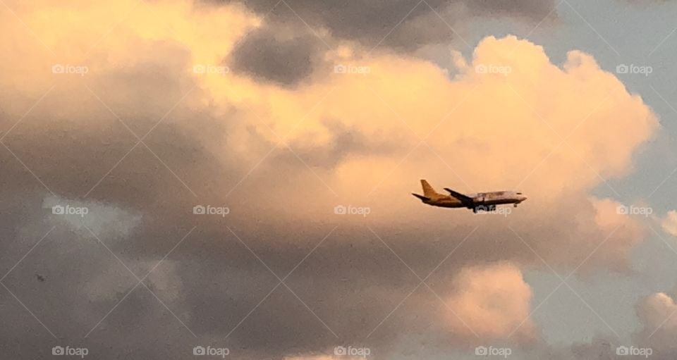 DHL freight airplane