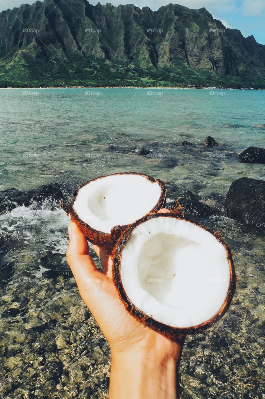 Fresh coconuts on a tiny island off of Oahu.