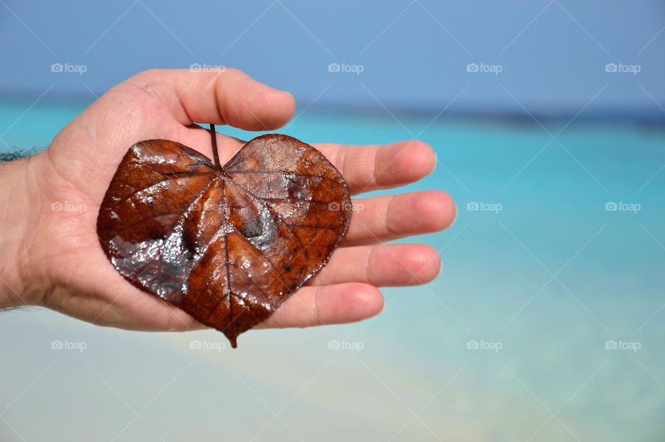 heart-shaped dry leaf on the white beach