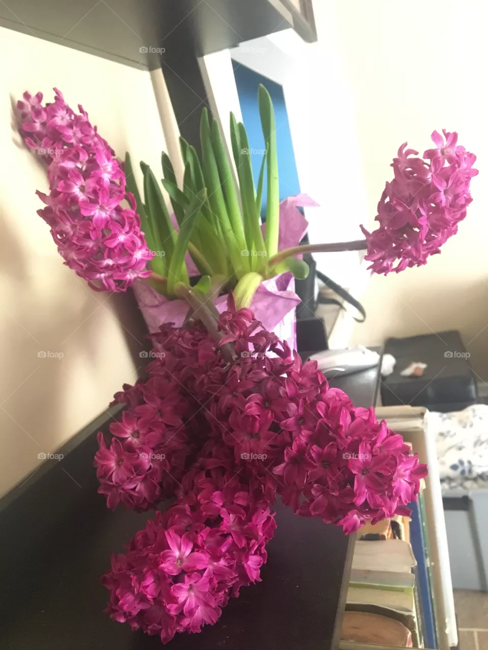 Hyacinth