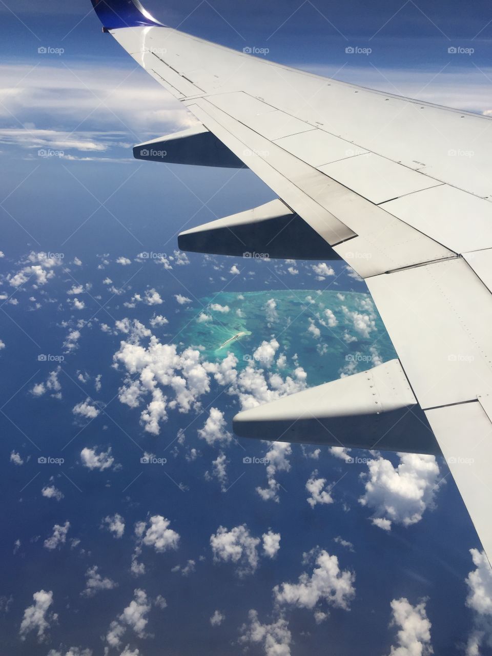 Scorpion Reef in Gulf of Mexico