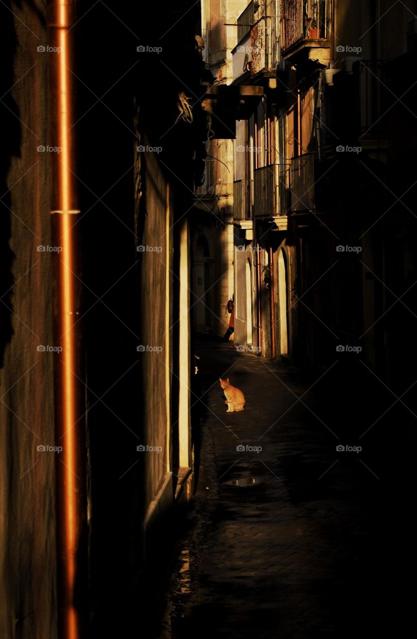 El dueño de la calle