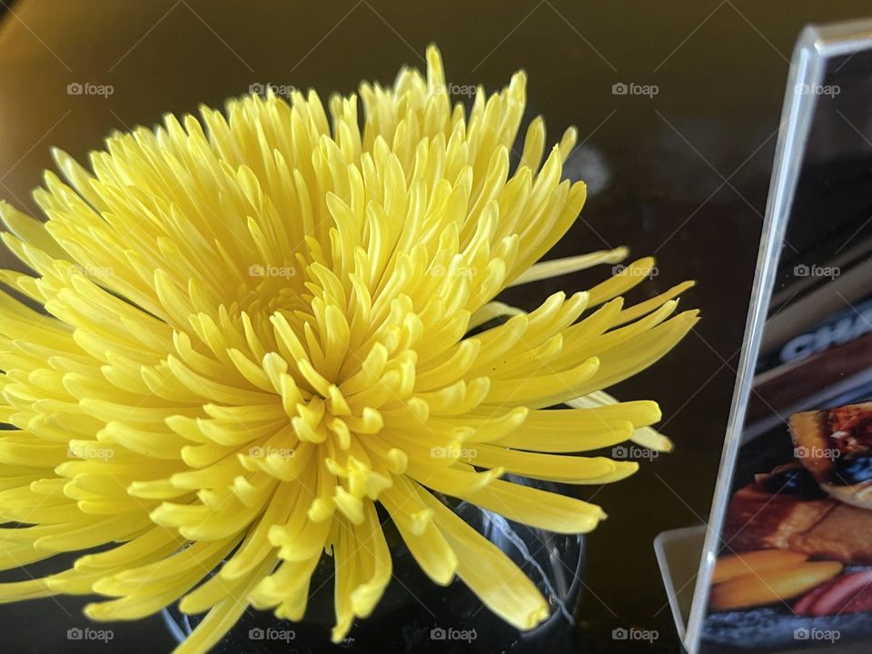  📷Colour Explosion 🔴