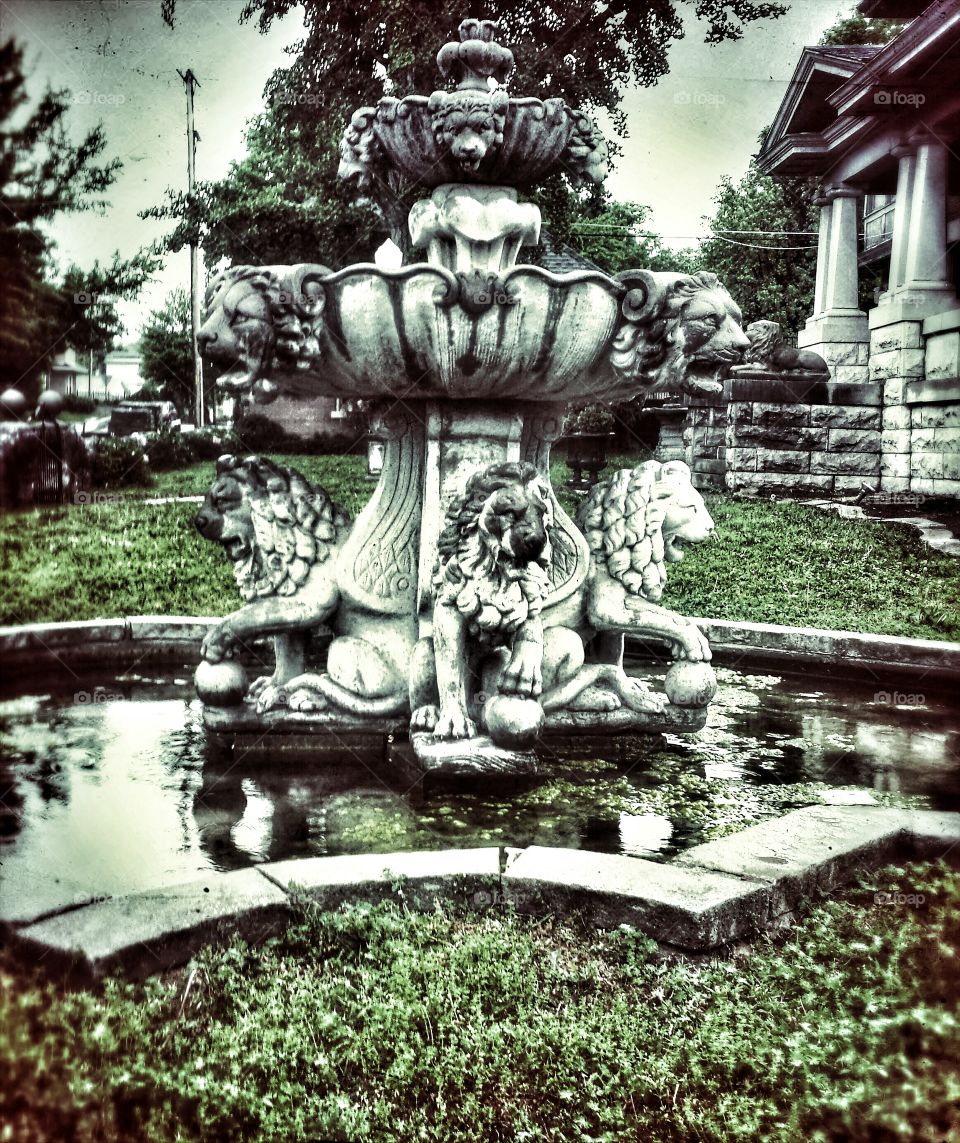 Lion Fountain