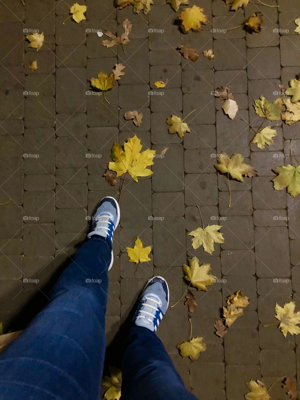 Autumn walk 
