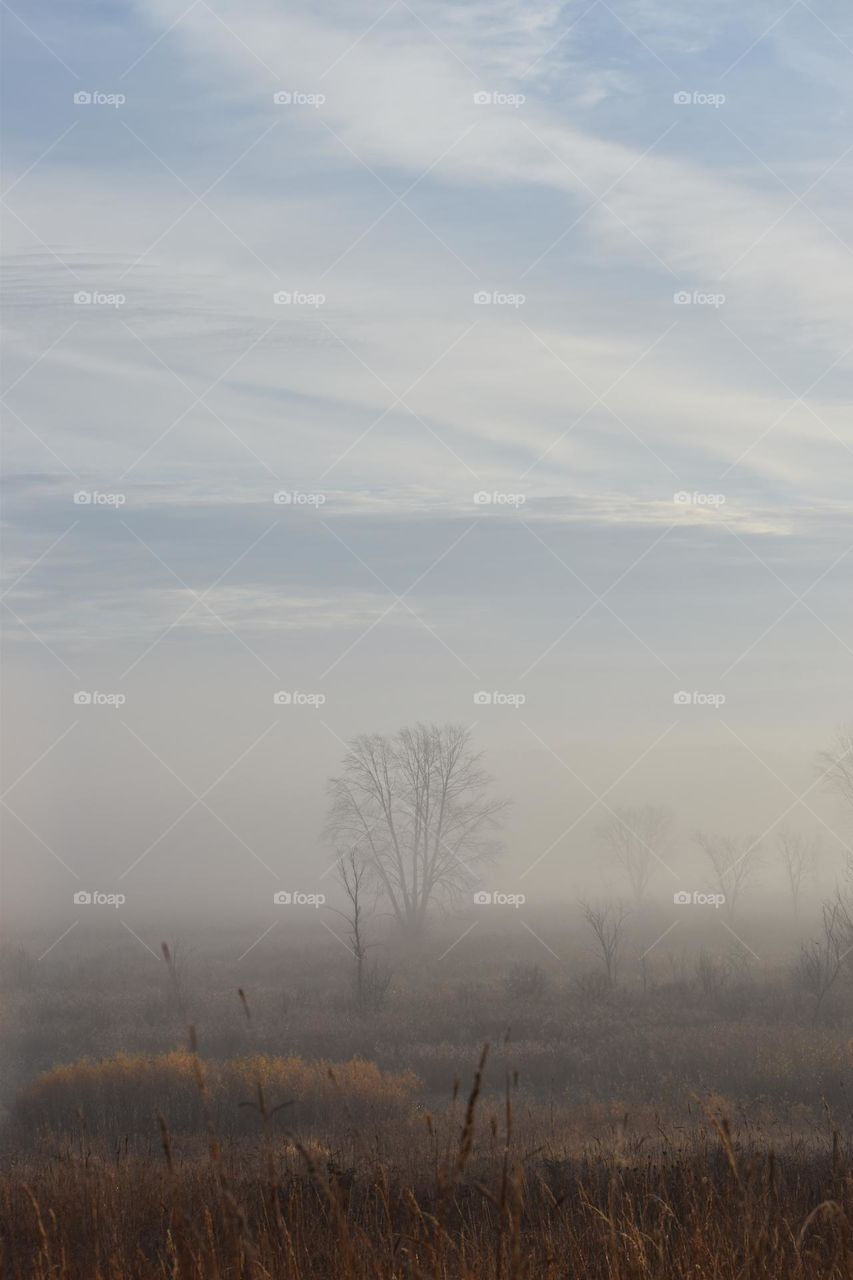 The cloudy blue sky shows through the lifting fog