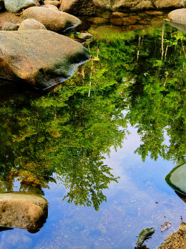 Reflections 
