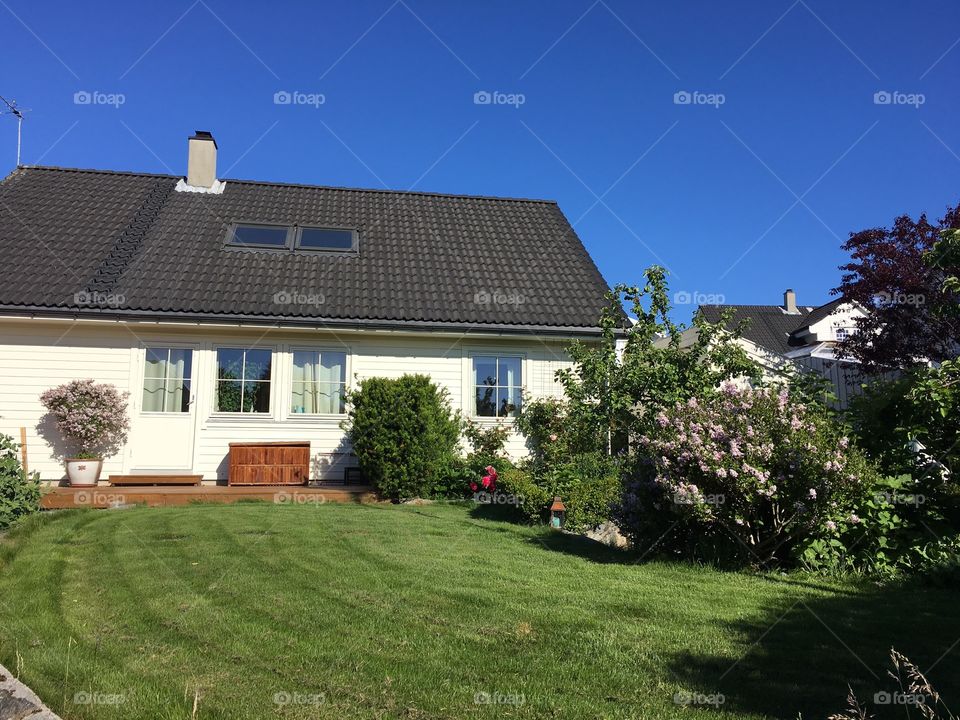 White traditional wooden Scandinavian home with a summer garden