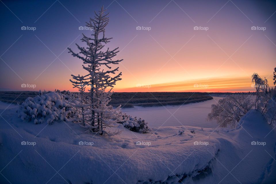 Arctic,dawn,winter dawn,winter morning,winter evening,winter colors,winter frost,winter charm,winter silence,winter night,frost,cold,cold morning,cold sunset,north,winter forest,frozen river,white snow,