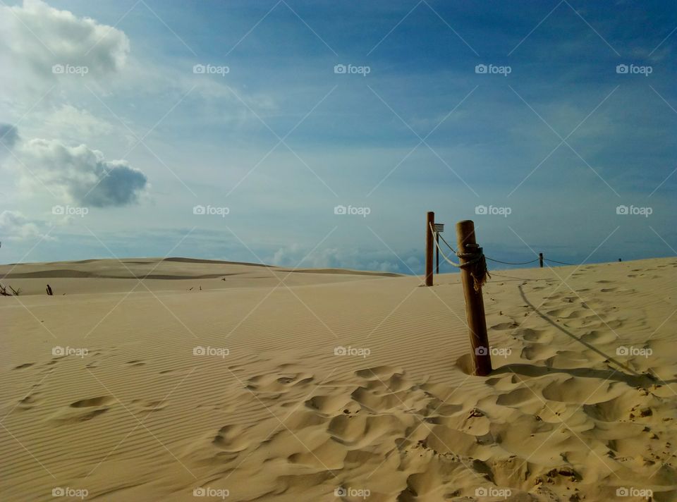 Sand, Beach, Desert, Seashore, Dune