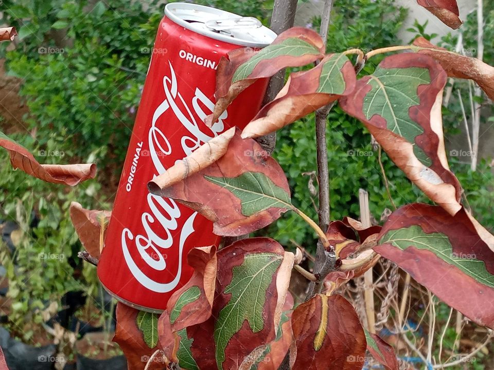 Coca cola can