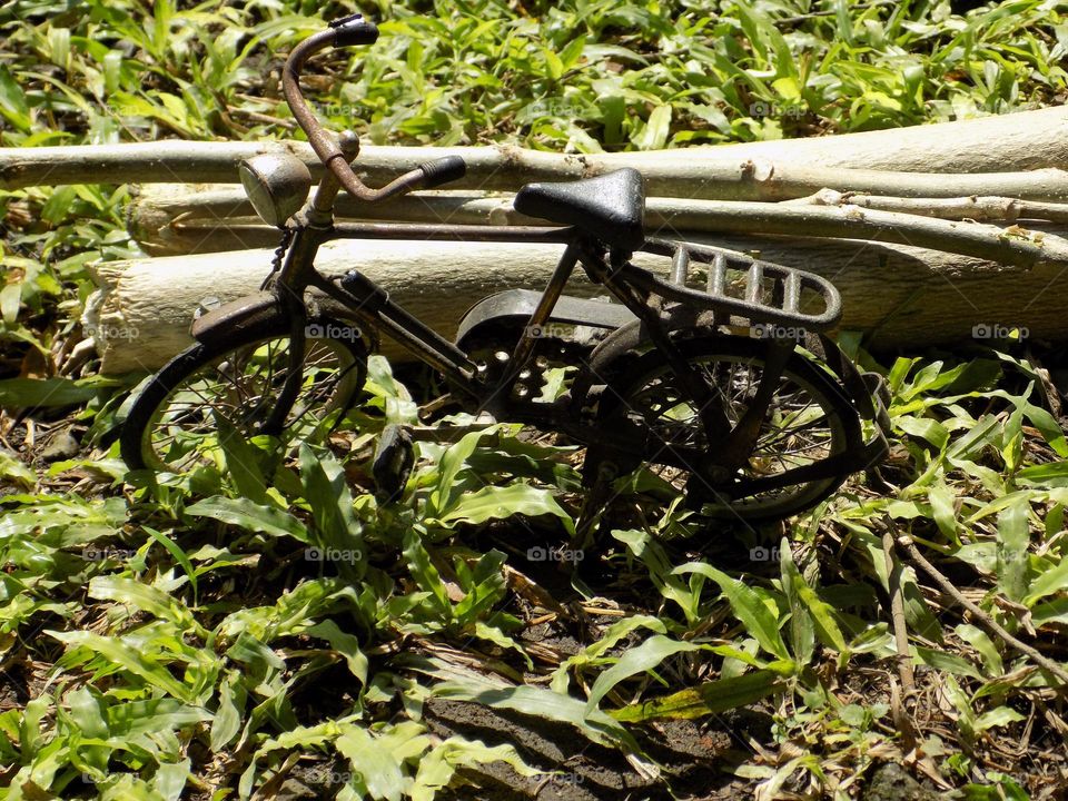 Toy bicycle on the grass