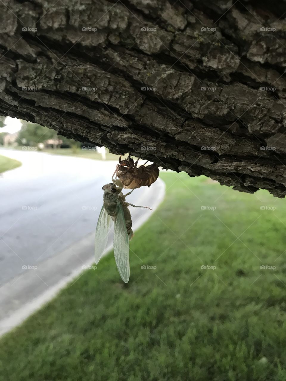 From beginning to end