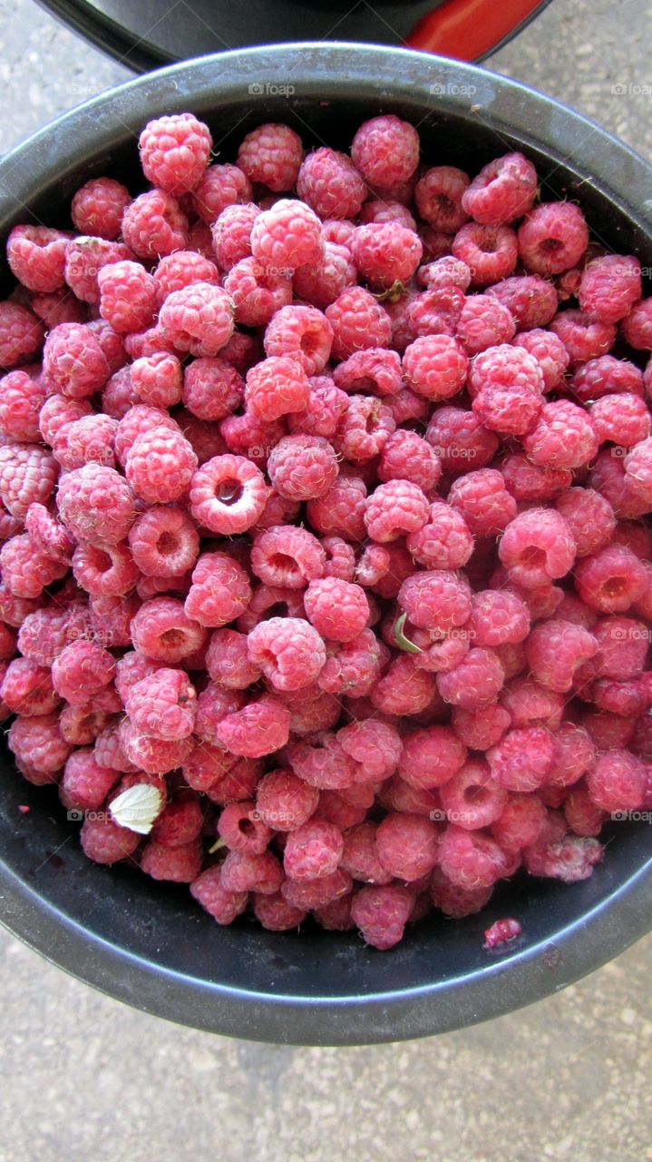 Fresh Raspberries