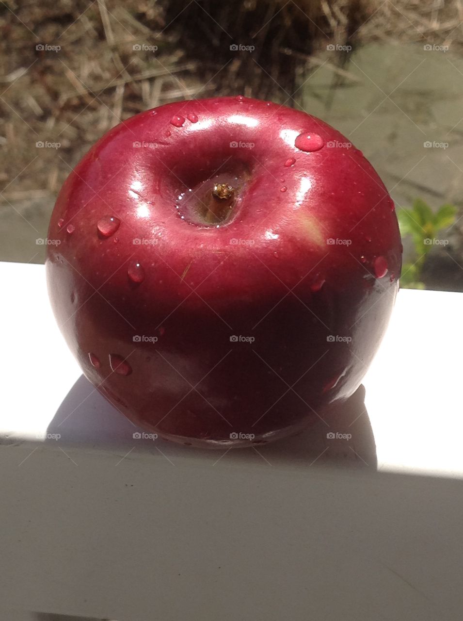 A close up of a delicious red apple.