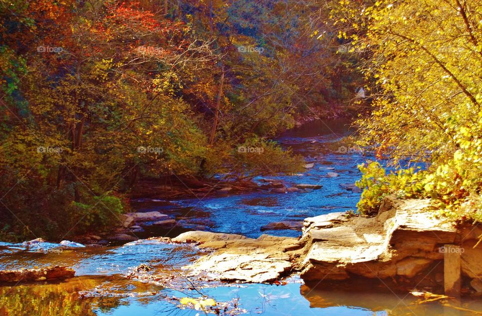 River in the Fall