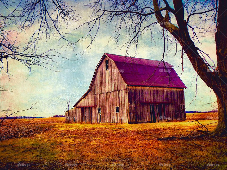 Old house near bare tree