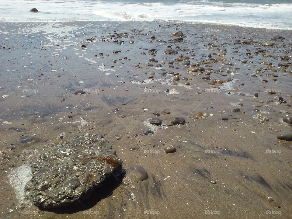 Rocky Seashore